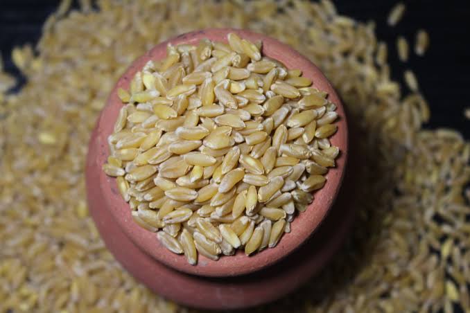 TCBT Bansi Wheat