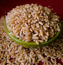 TCBT Bansi Wheat